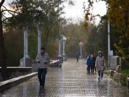 В Волгоградской области 4 апреля станет прохладней и пойдет дождь