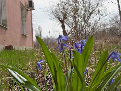 Пролог мая: 24 градуса тепла и много солнца будет в Камышине сегодня, 9 апреля