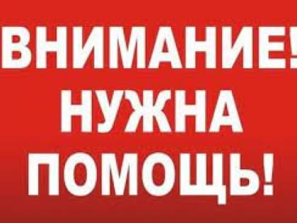 Поддержка для Верхней Куланинки: Важность подключения к интернету