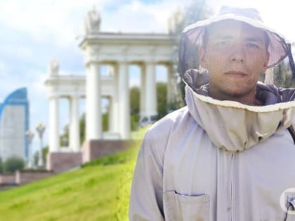 Волгоградцам рассказали об опасных вирусах, которые передает мошка