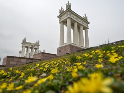 Дождливые выходные предсказали синоптики в Волгограде