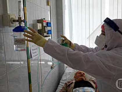 260 волгоградцев заразились смертельно опасной инфекцией