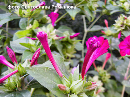 Прогноз погоды в Камышине на 18 сентября