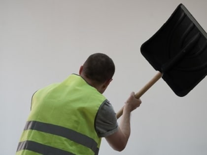 Численность рабочей силы в Волгоградской области выросла на 50 тысяч человек