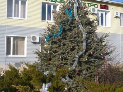 Коллектив филиала Жирновские МЭС АО «Волгоградоблэлектро» выполняет жизненно важное, светлое дело