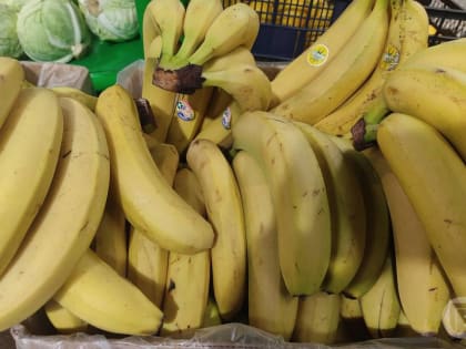 Мифы и реальность о бананах: что нужно знать жителям Волгограда