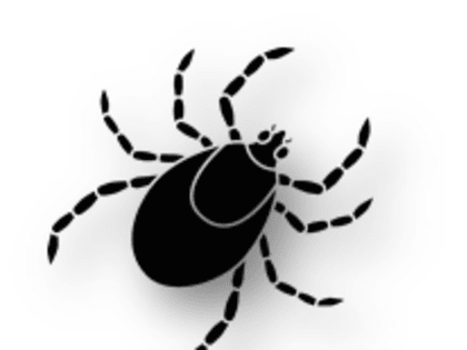 Осторожно клещи!