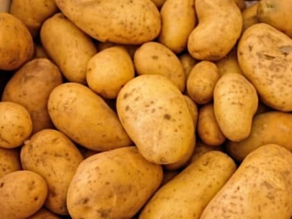 В Волгоградской области назвали подорожавшие и подешевевшие продукты