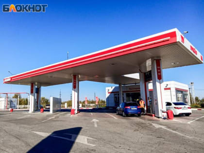 Бензин перестал дорожать? Статистика цен на топливо