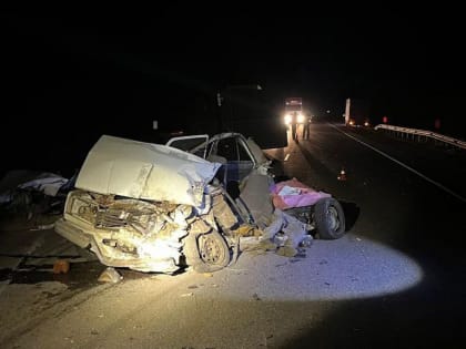 Подросток за рулём автомобиля насмерть разбился во Фроловском районе