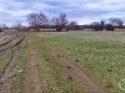 Весна в Волгограде может наступить раньше срока