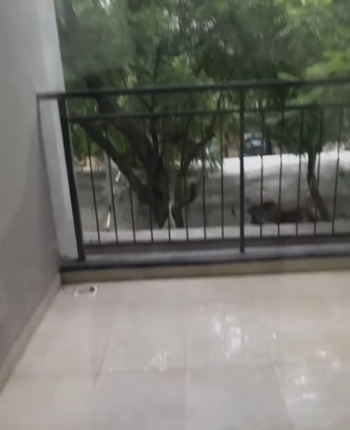 Bed for rent in Gold’s Gym, Hinjewadi — ₹5,250/mo · RoomPin