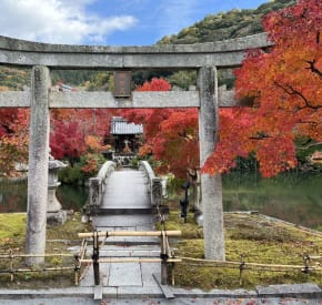 Kanazawa, Gardens, Autumn (Inside Travel draft)
