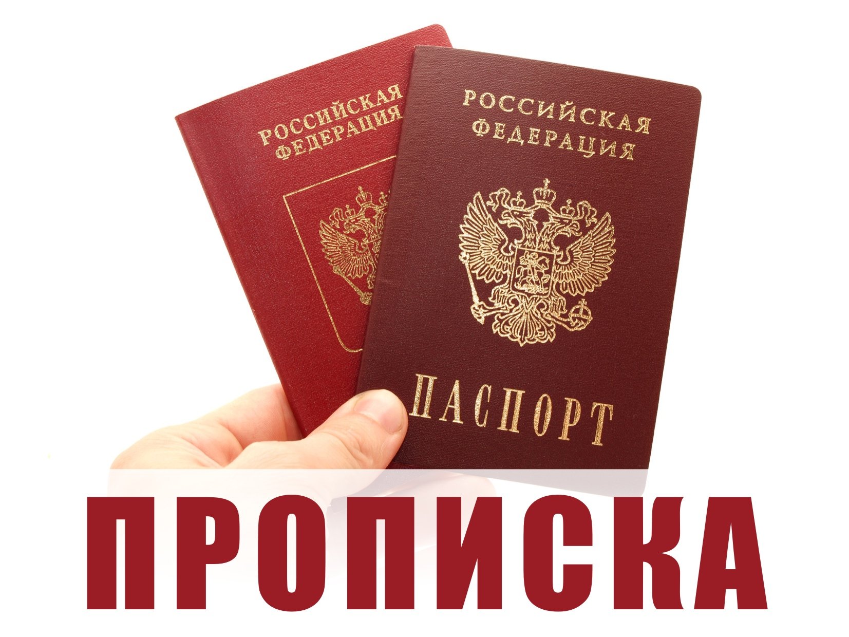 Где делают хавал