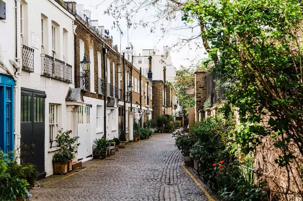 A street in London with houses and trees