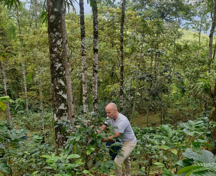 guatape tours medellin