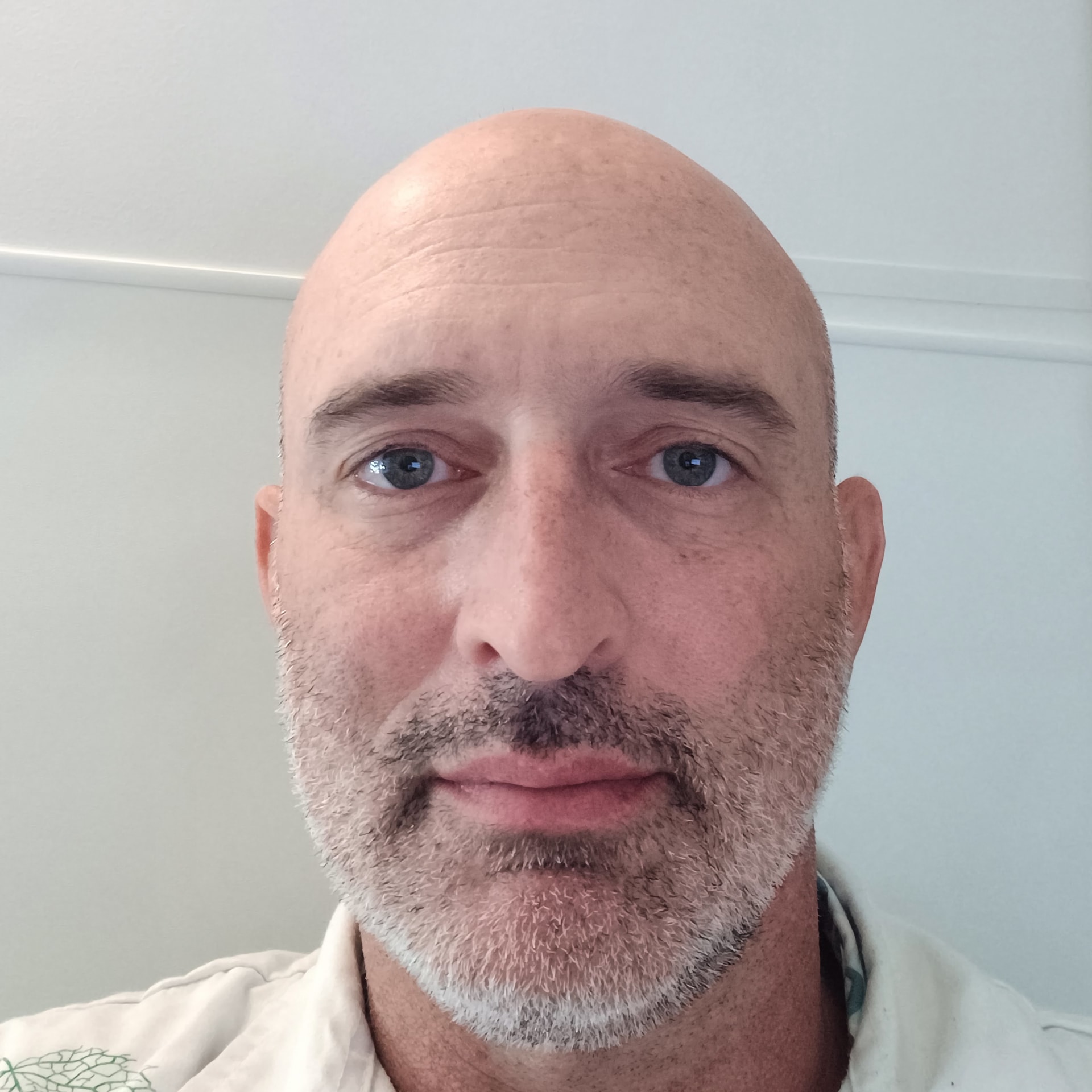 איתי זיו רפואה יפנית