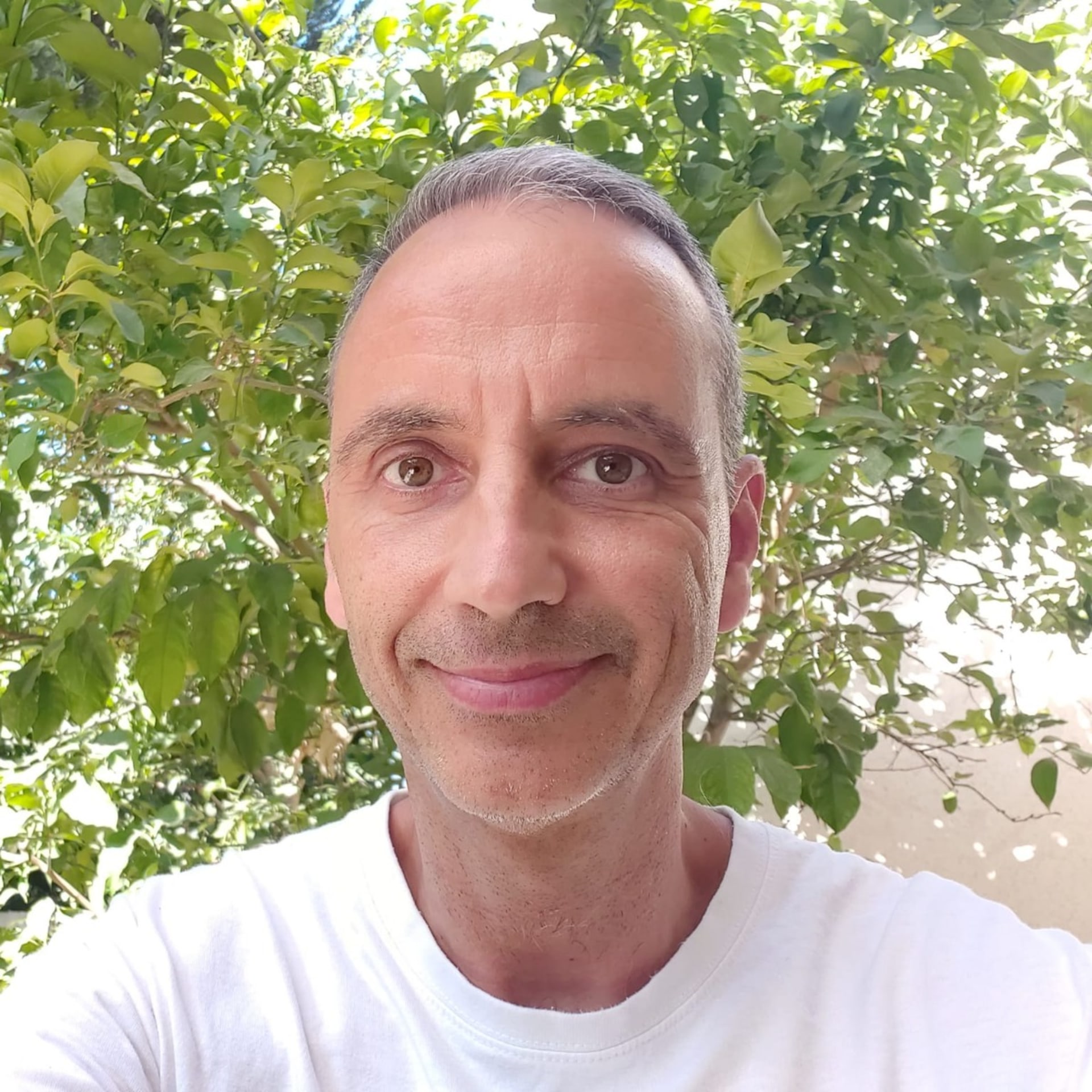 עדי יהודה דהן