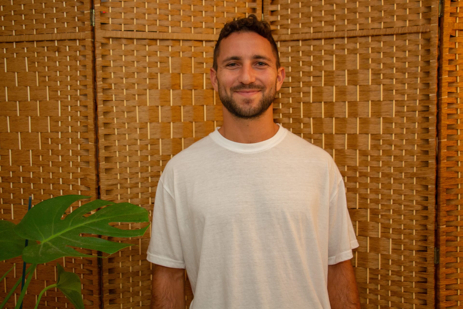 Profile image of הדי שיאצו