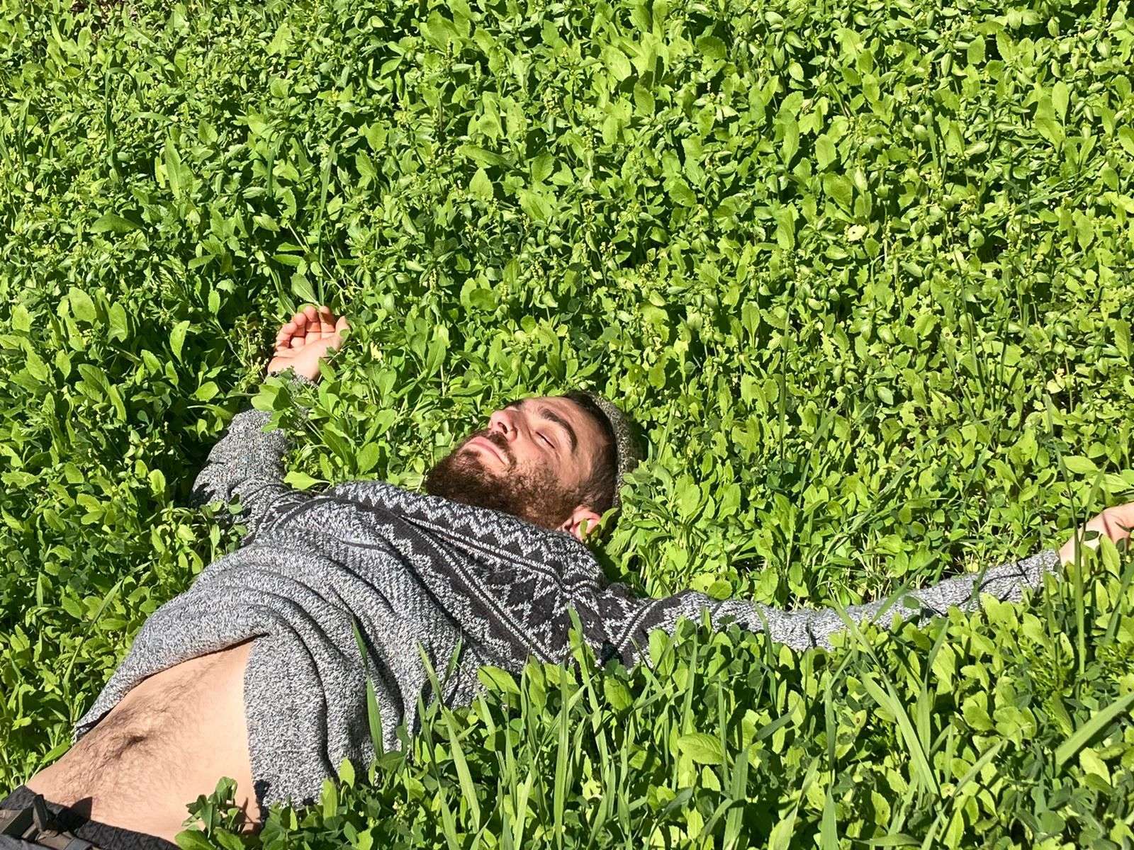 רועי למדני - רדיקל חופשי image 1
