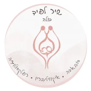 Profile image of שיר לפיד