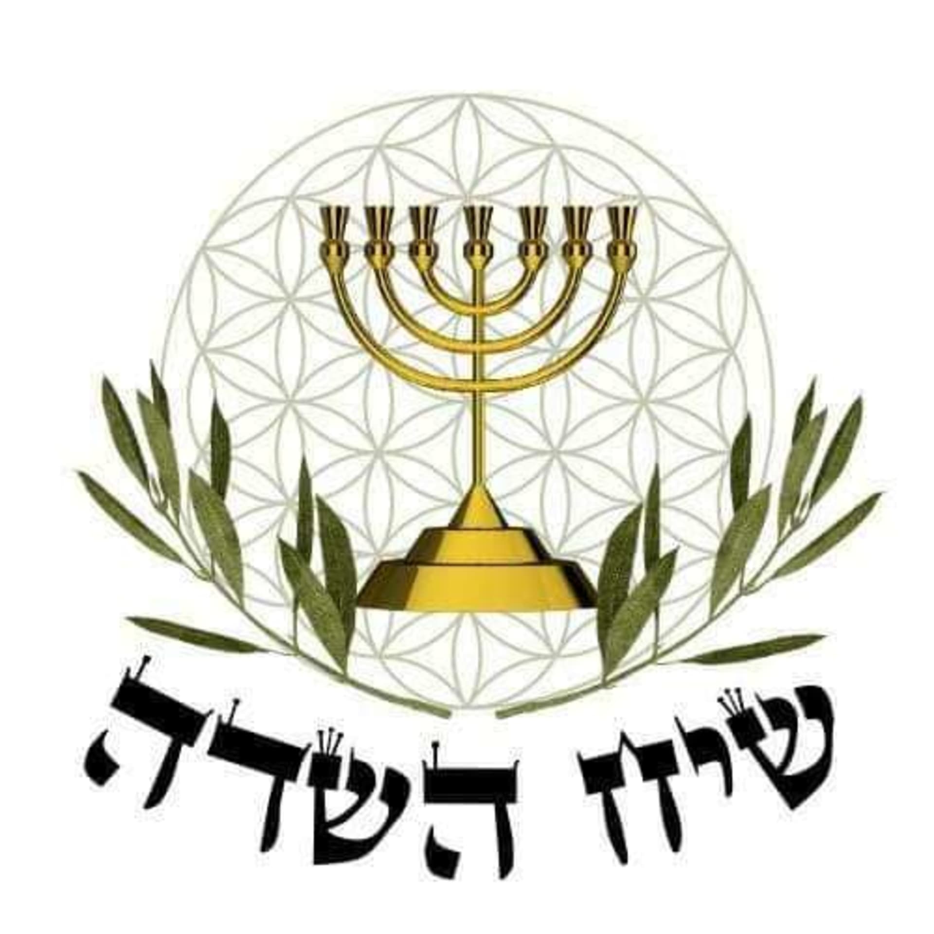 רפואה אלטרנטיבית רוקחות טבעית קדומה