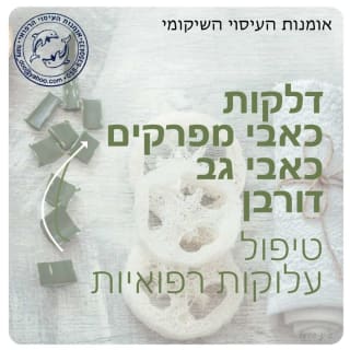 הארי וינגרטן אומנות העיסויי הרפואי  image 4