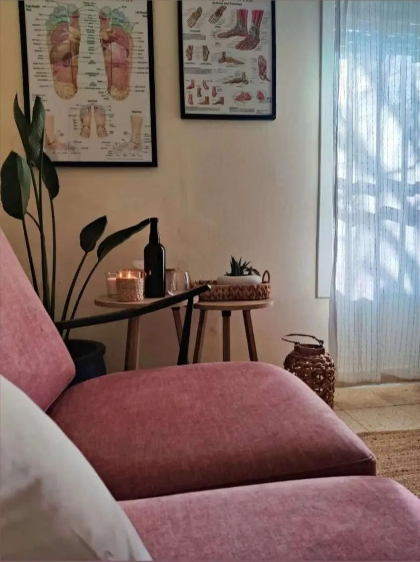 שיר לפיד image 2