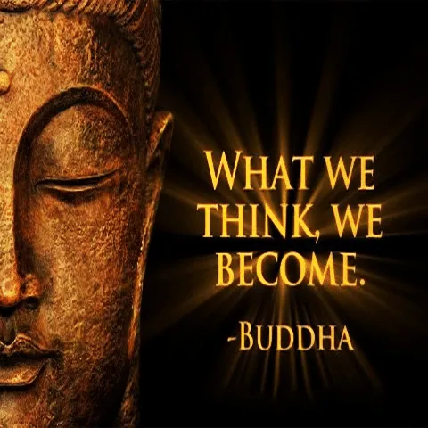 אופיר לזרוביץ image 3