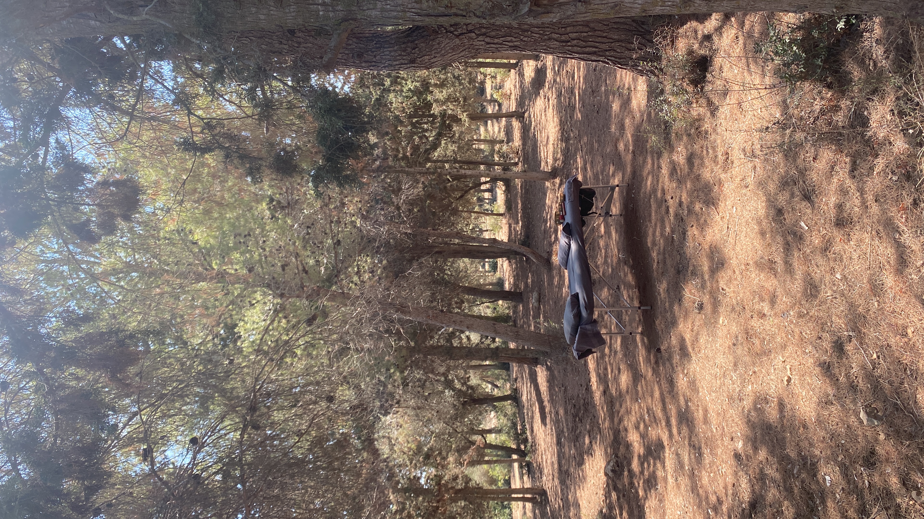 עומרי אלקיים image 4