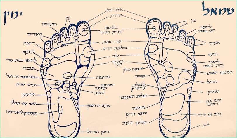 רפלקסולוגית בכירה - נילי ליפסקי image 1