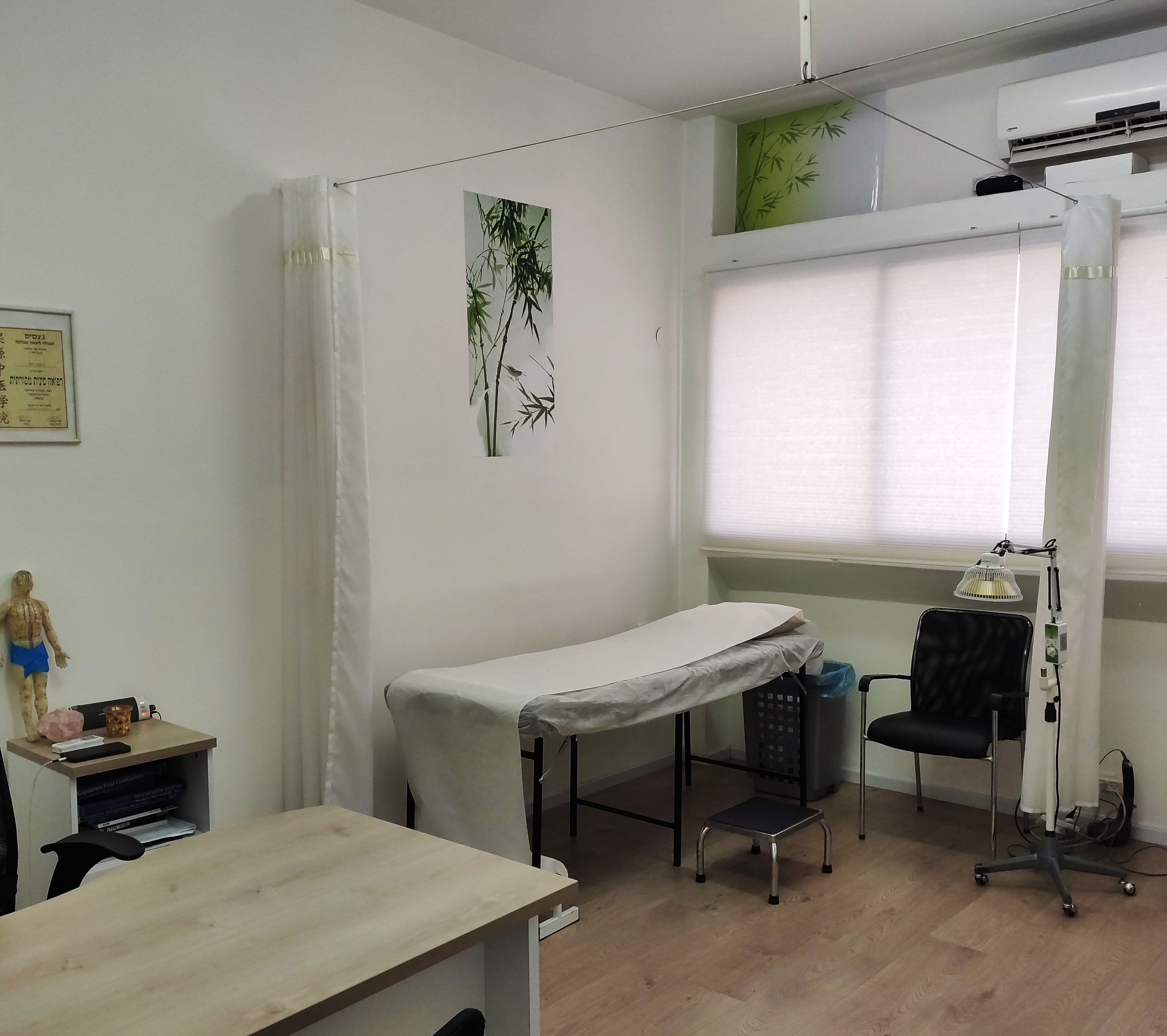 רפאל רוזנסקי מטפל בדיקור סיני image 3