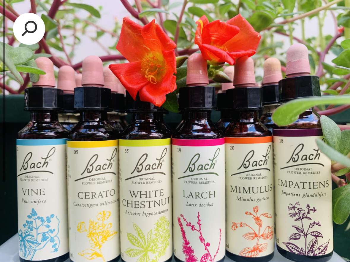 שלהבת נטורופתית ורוקחת טבעית image 4