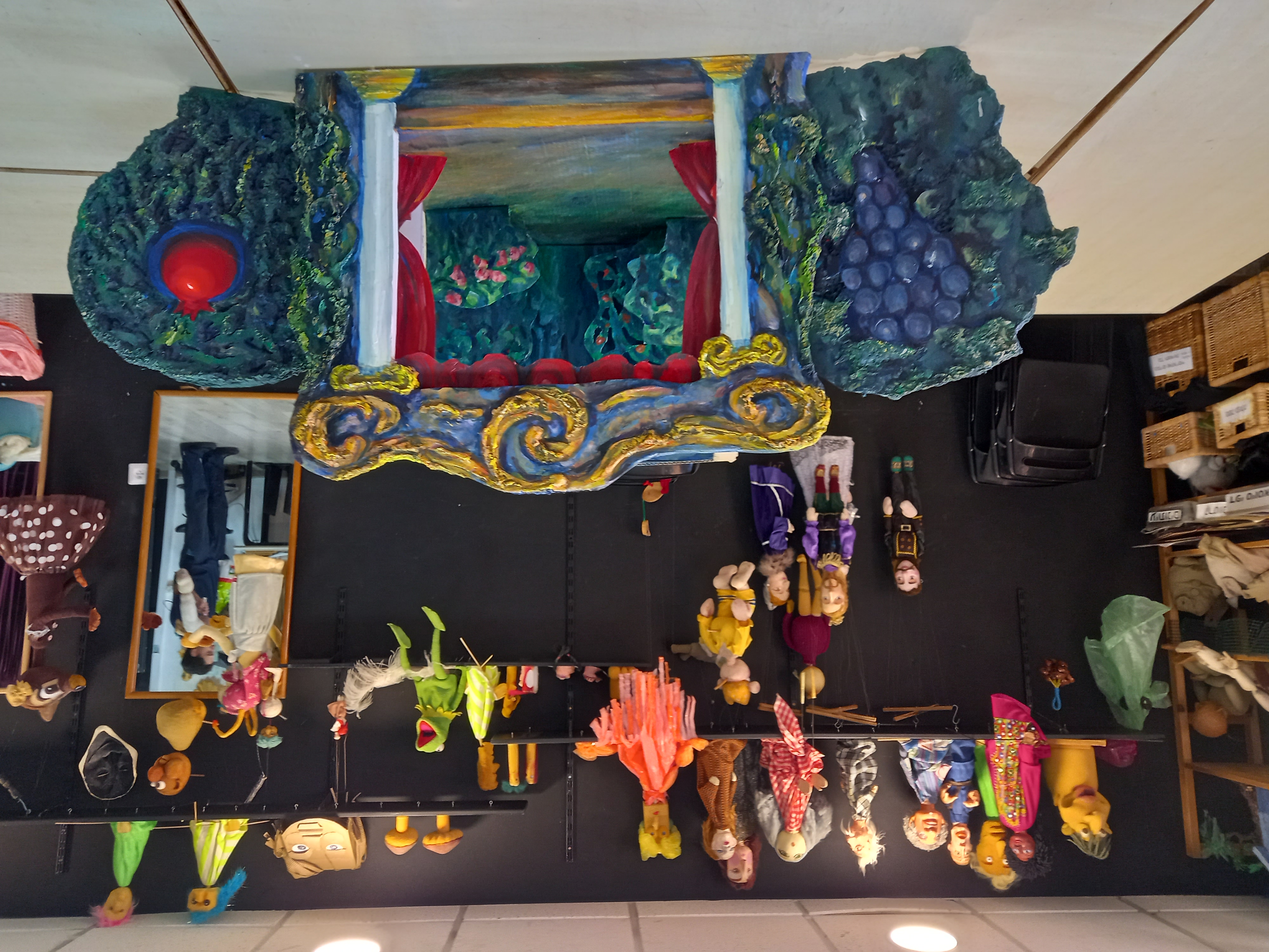 פניה שנדרוביץ' image 5