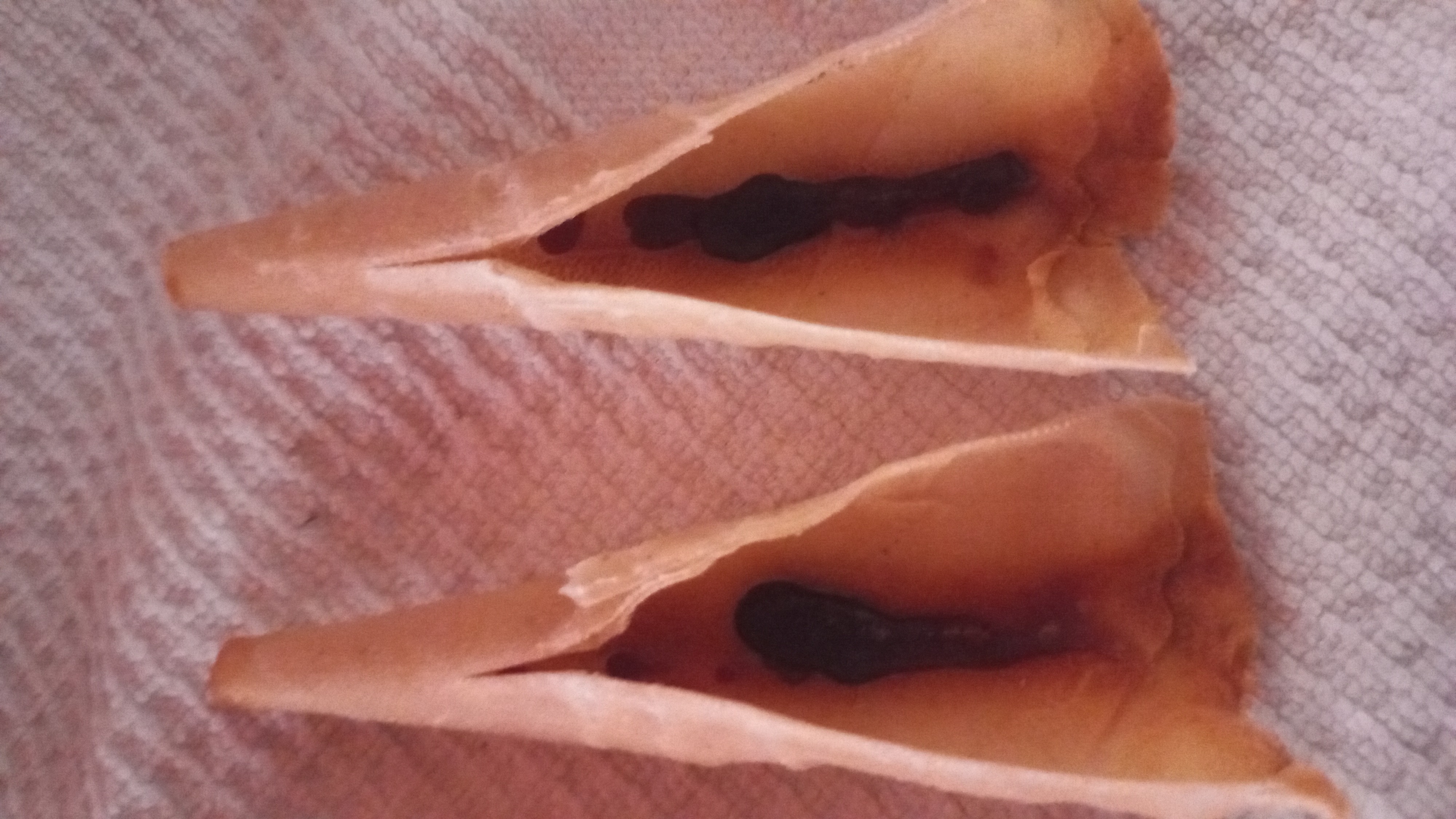 שירה אורי עיסוי רפואי image 4