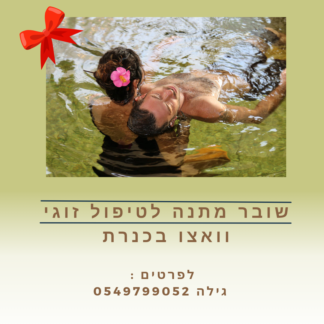 גילה עמיר image 3