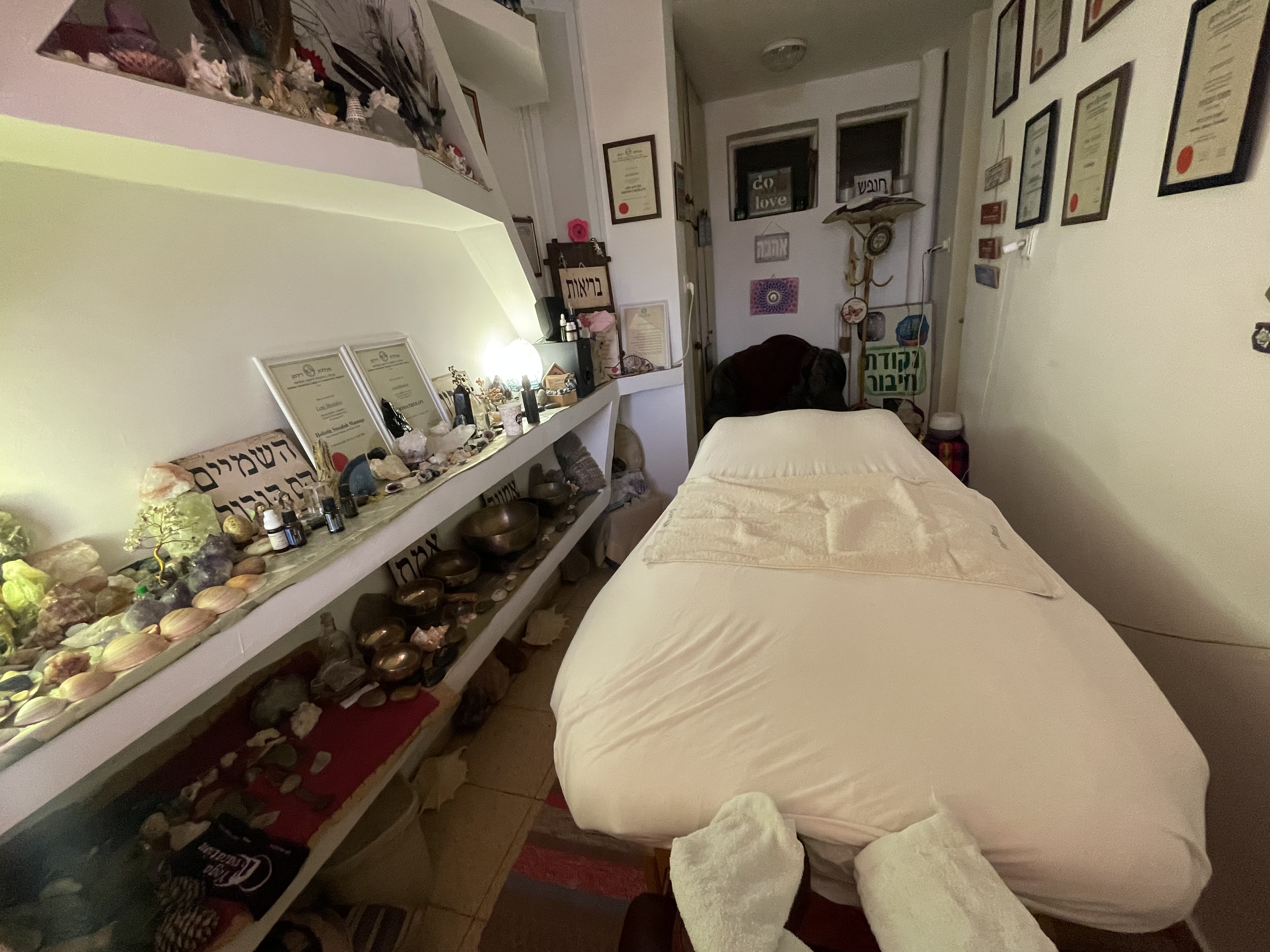 לנה שסטקוב image 2