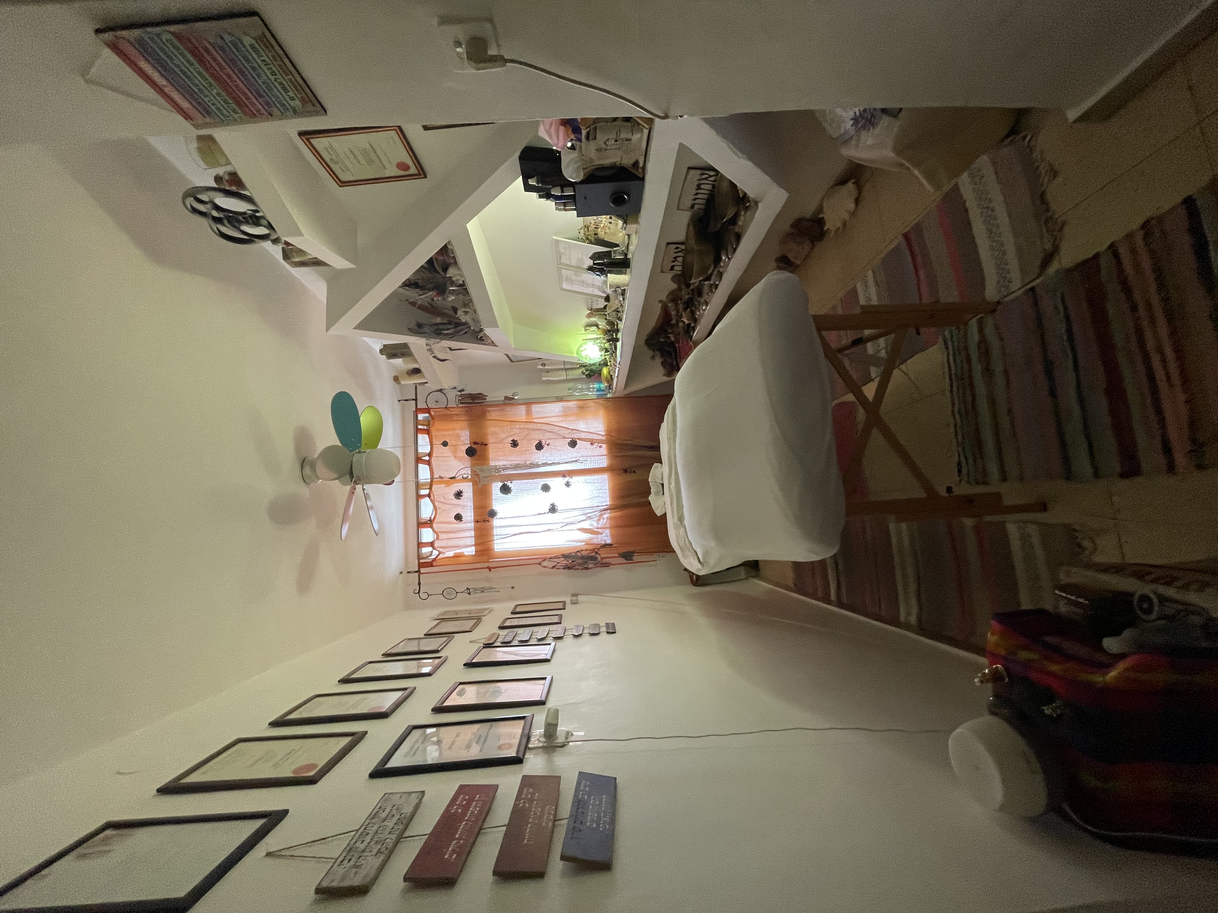 לנה שסטקוב image 3