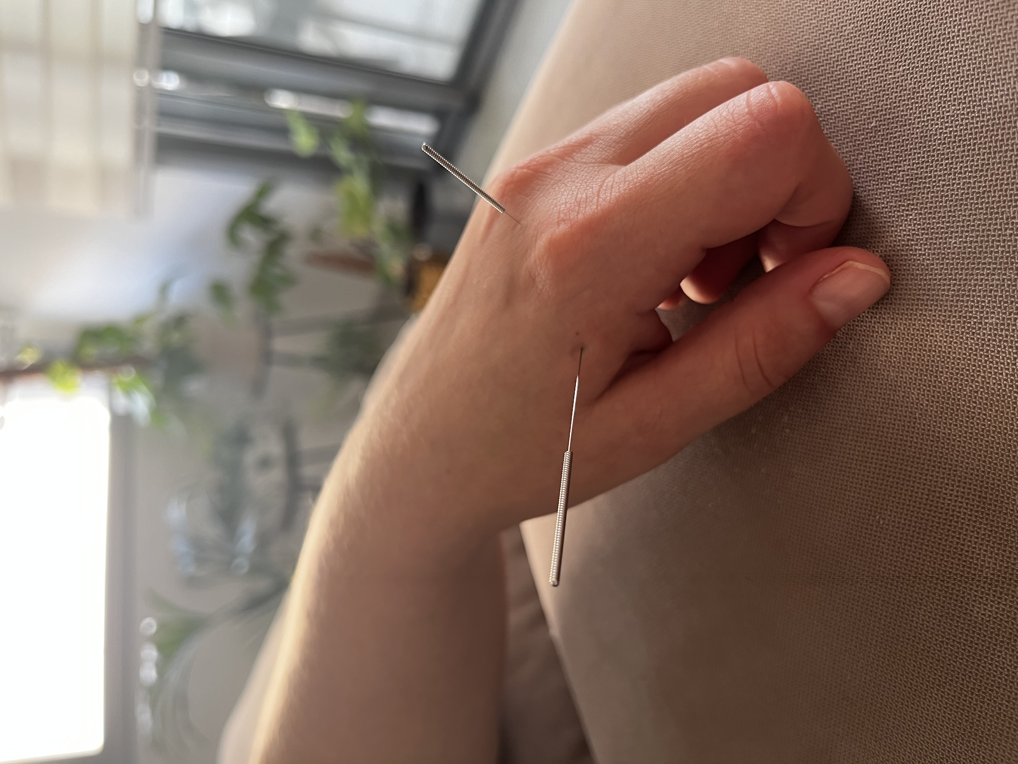 שגיא דטו image 2