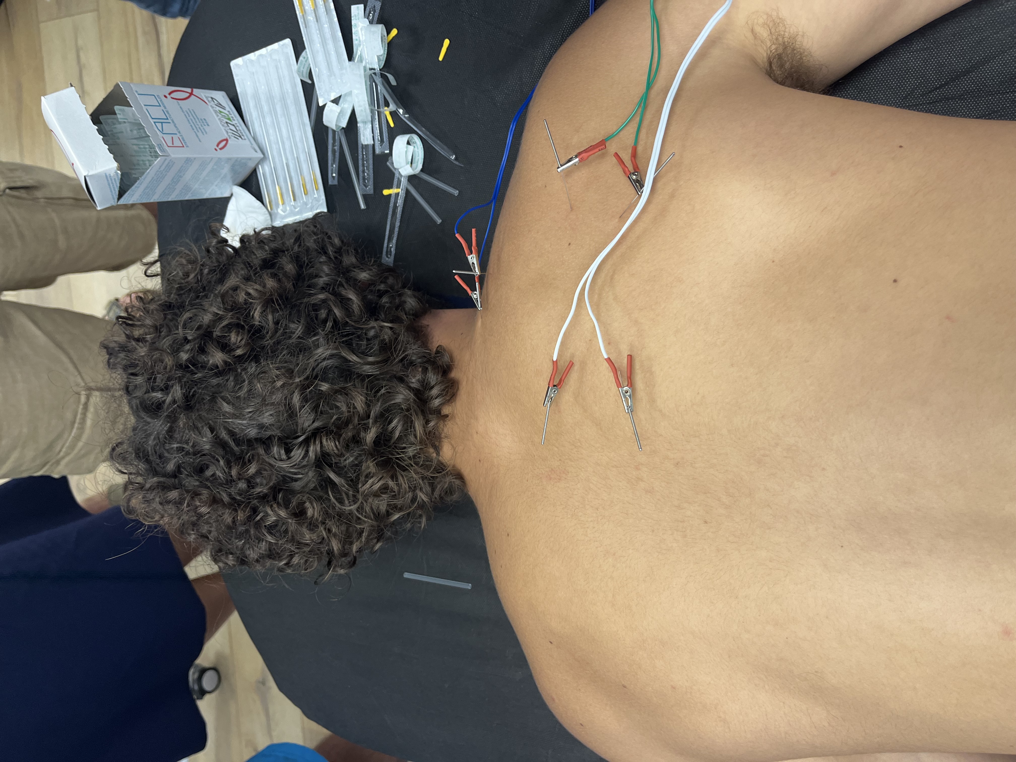 שגיא דטו image 4