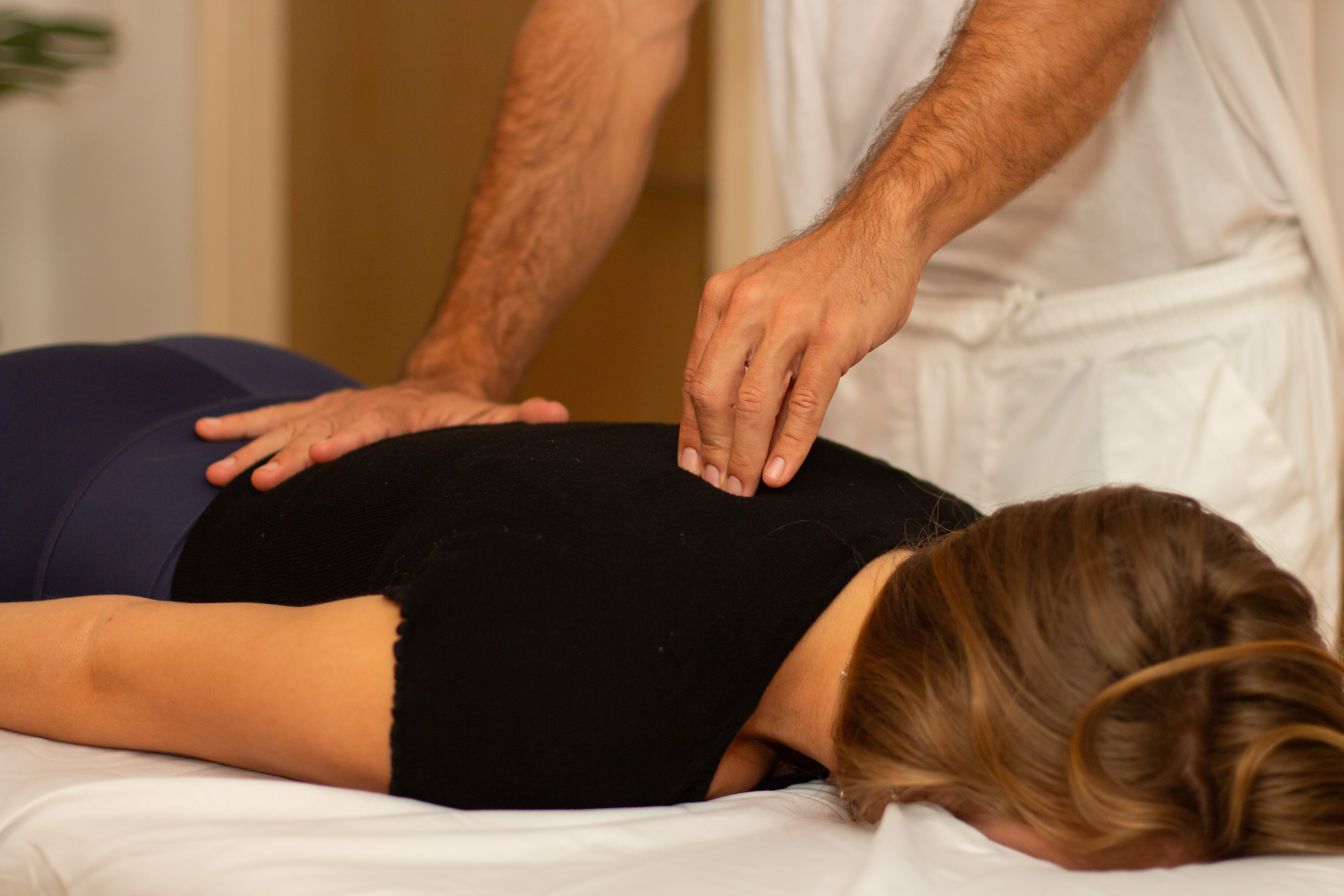 הדי שיאצו image 5