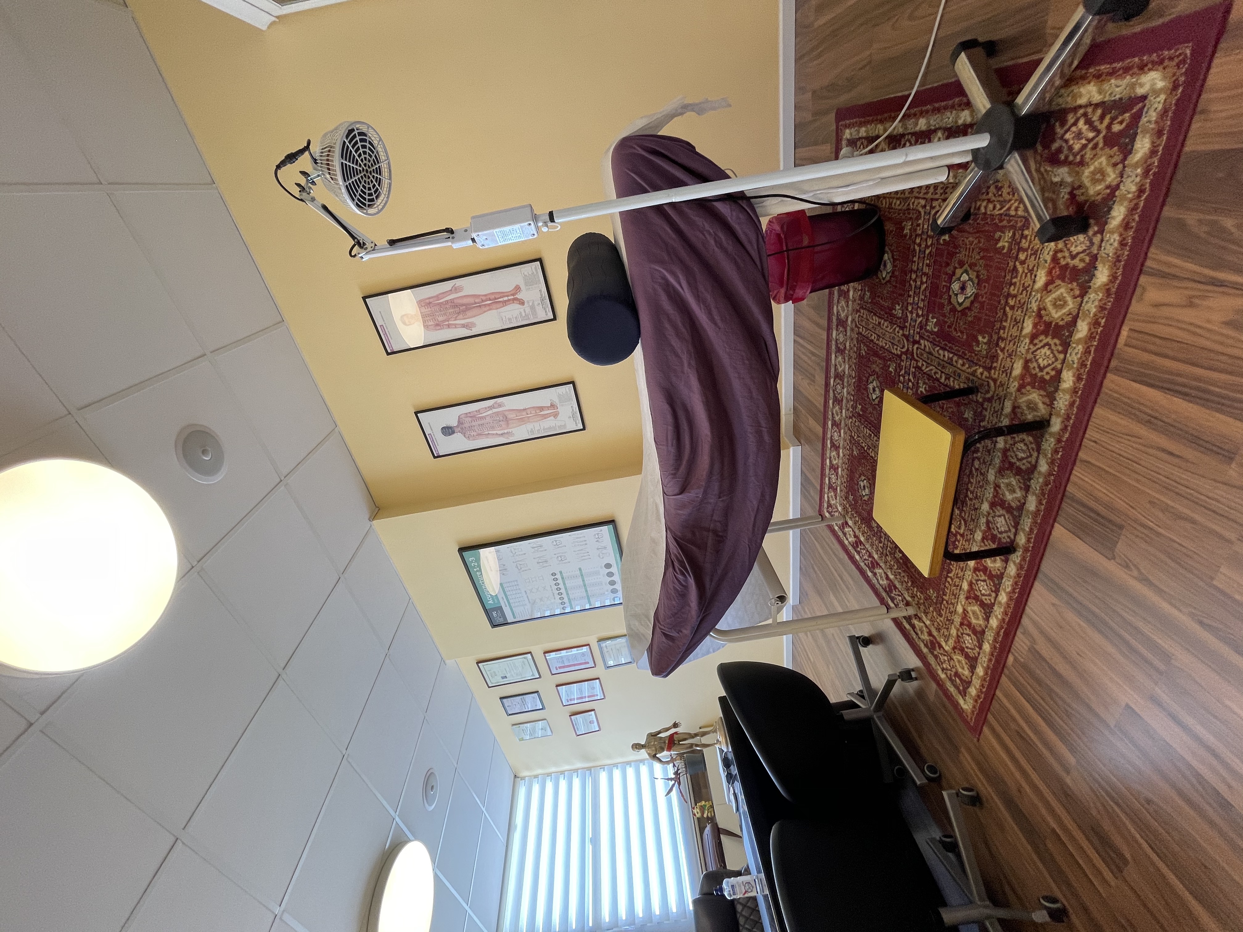 רונן רוזנבלט-ניר - דיקור סיני image 1