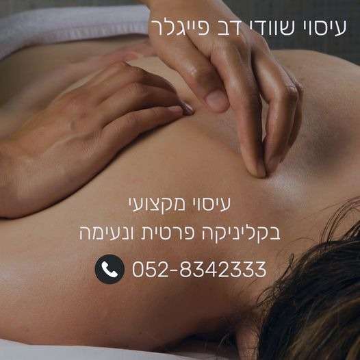 דב פייגלר image 1