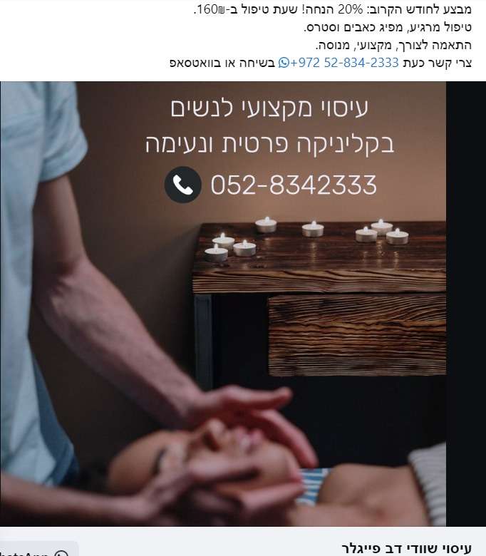 דב פייגלר image 2