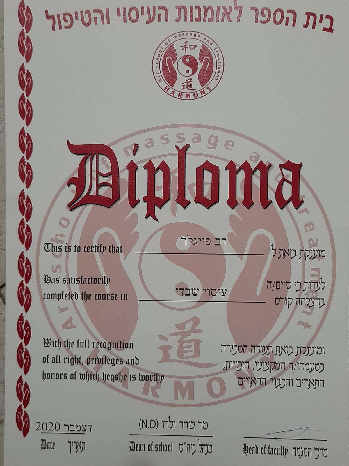 דב פייגלר image 3