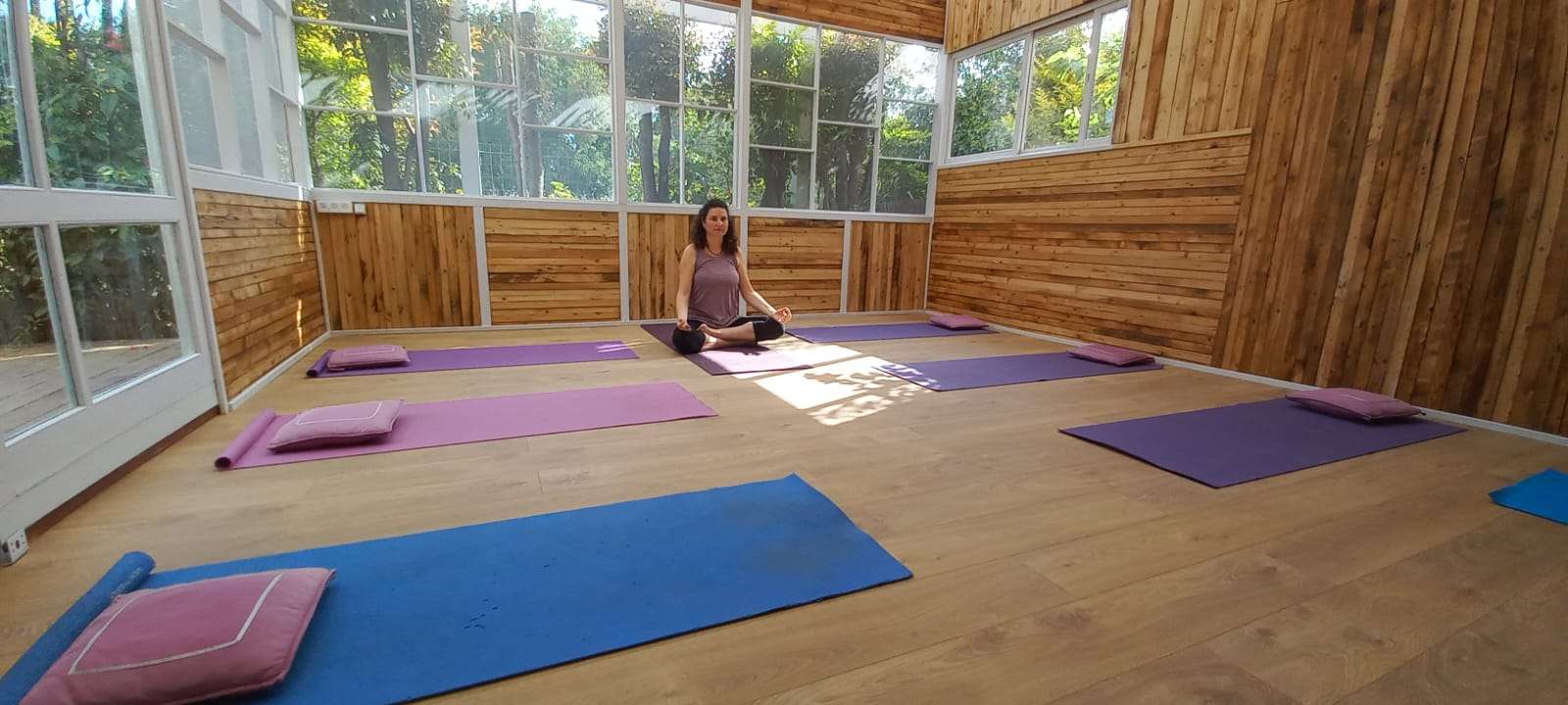 נעמי פונדק לובל- רפואה סינית ויוגה image 3