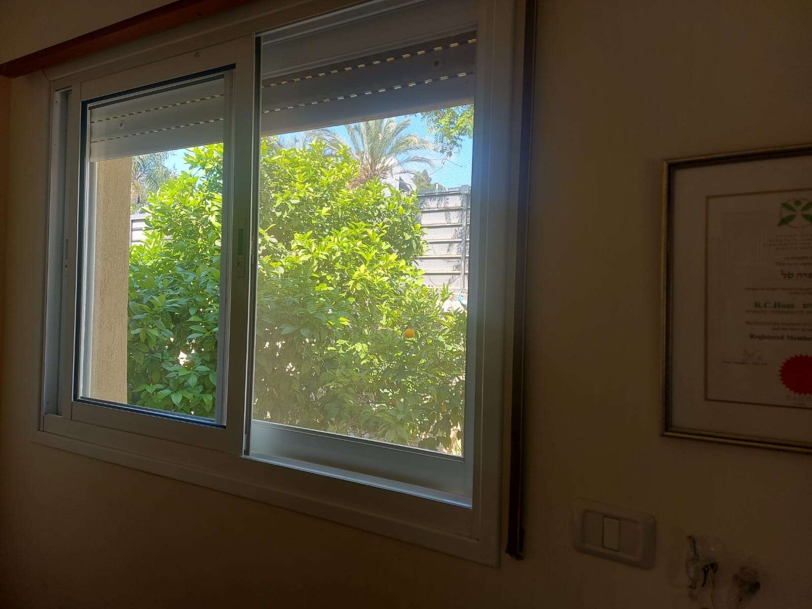 עופרה טל image 2