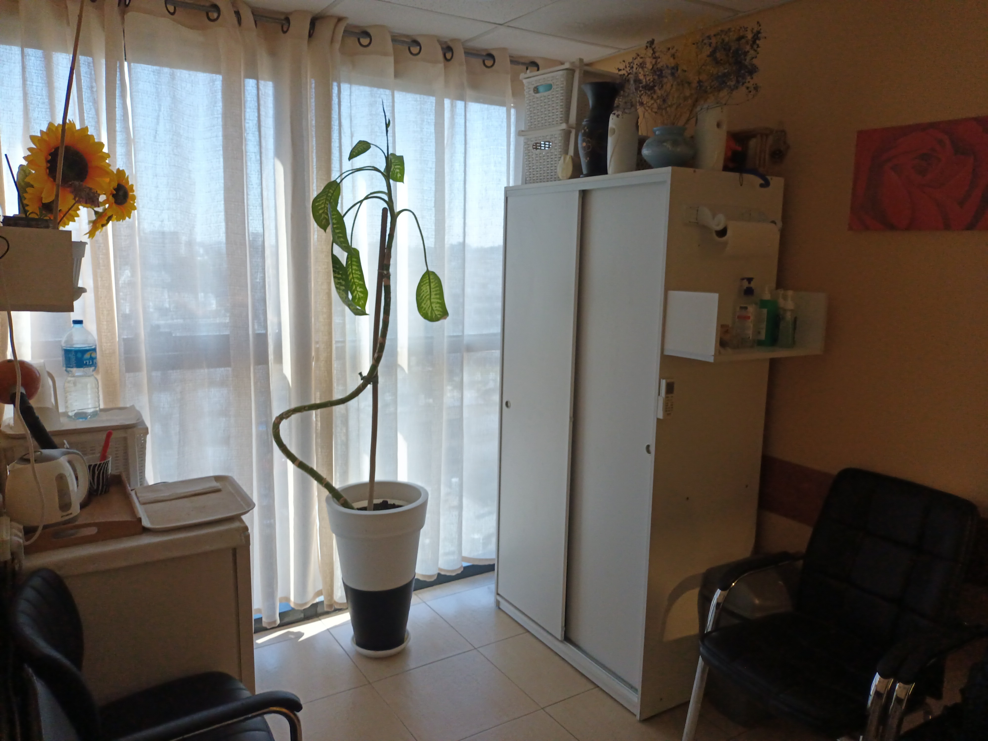 ד"ר ארקדי קוטלר image 5