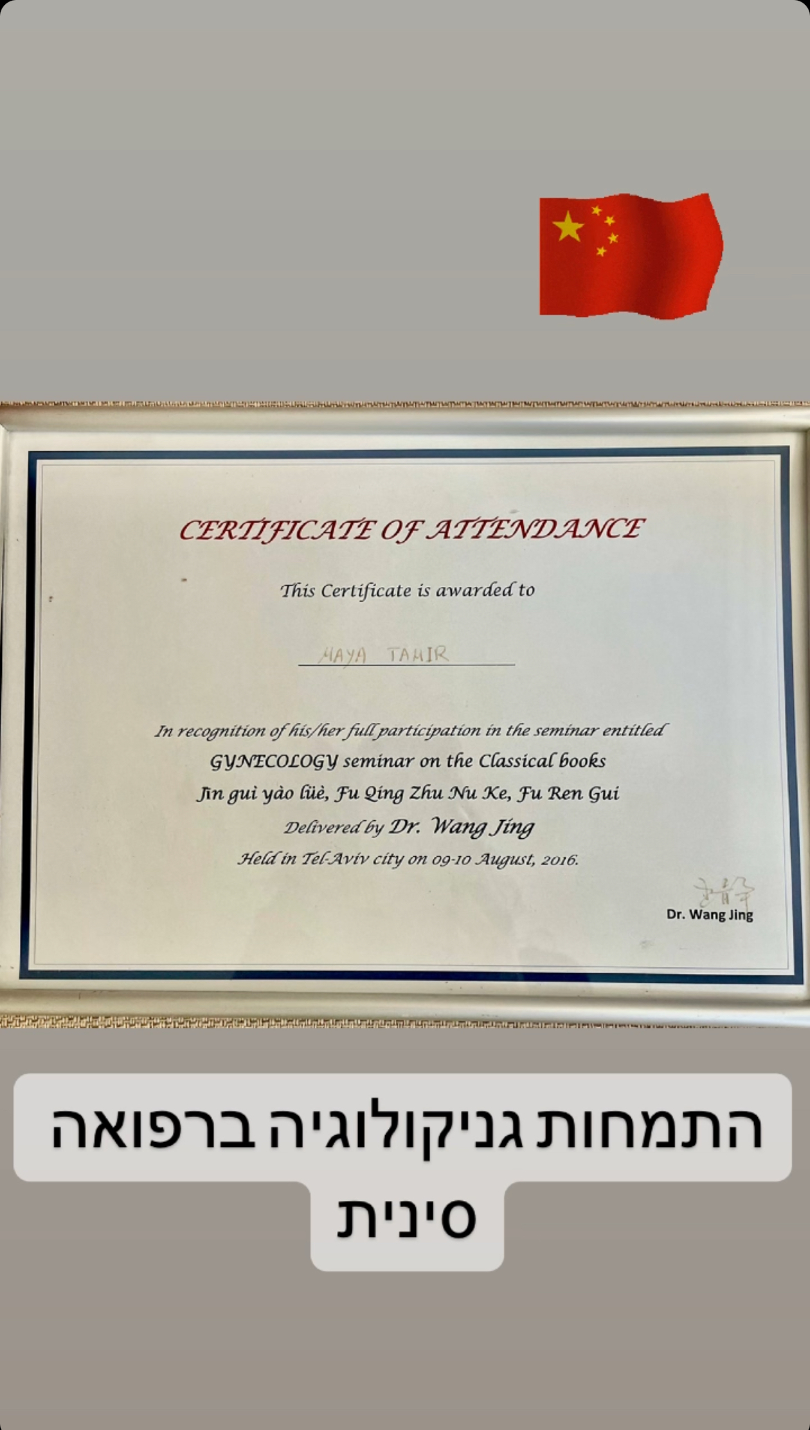 מיה תמיר רפואה סינית יפנית image 3