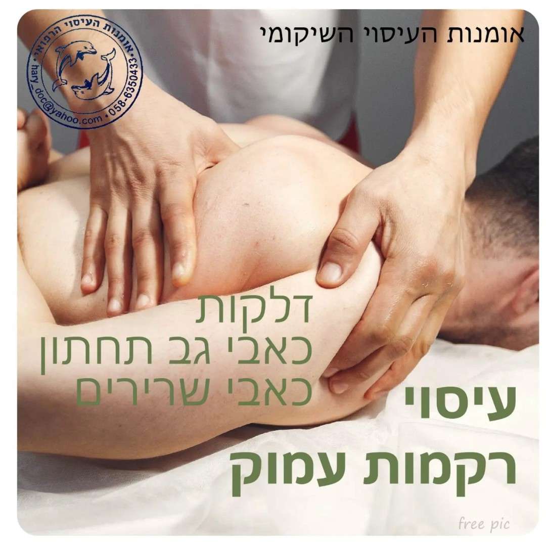 הארי וינגרטן image 3